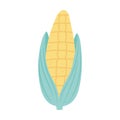 Fresh corn cob organic isolated icon design white background Royalty Free Stock Photo