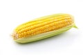 Fresh corn on the cob on a white background Royalty Free Stock Photo