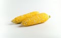 Fresh Corn on the Cob on White Background Royalty Free Stock Photo