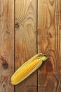 Fresh corn on the cob - a whole cob with leaves Royalty Free Stock Photo
