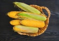 Fresh corn on the cob in wicker basket Royalty Free Stock Photo