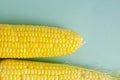 Fresh corn on cobs on blue background Royalty Free Stock Photo