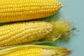 Fresh corn on cobs on blue background Royalty Free Stock Photo