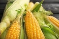 Fresh corn cobs, closeup Royalty Free Stock Photo