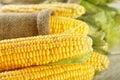 Fresh corn cobs, closeup Royalty Free Stock Photo