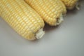 Fresh corn cobs, closeup Royalty Free Stock Photo