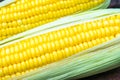 Fresh corn Royalty Free Stock Photo