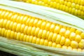 Fresh corn Royalty Free Stock Photo