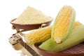 Fresh corn cobs with corn flour Royalty Free Stock Photo