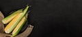 Fresh corn on cobs on a dark stone table. Food concept. Copy space top view. Wide composition.