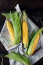 Fresh corn on cobs on dark wooden table Royalty Free Stock Photo