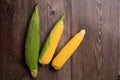 Fresh corn cobs on flat wooden background Royalty Free Stock Photo