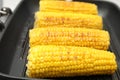 Fresh corn cobs on grill pan Royalty Free Stock Photo