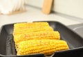 Fresh corn cobs on grill pan Royalty Free Stock Photo