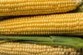 Fresh corn on cobs, macro. Food concept, top view. Royalty Free Stock Photo