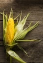 Fresh Corn on Cobs on old wooden table, top view, closeup Royalty Free Stock Photo