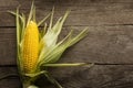 Fresh Corn on Cobs on old wooden table, top view, closeup Royalty Free Stock Photo