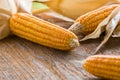 Fresh corn on cobs on rustic wooden table, closeup. Royalty Free Stock Photo