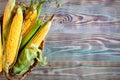 Fresh corn on cobs on rustic wooden table, closeup. Harvest Festival. Autumn background. Selective focus. Horizontal Royalty Free Stock Photo