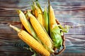 Fresh corn on cobs on rustic wooden table, closeup. Harvest Festival. Autumn background. Selective focus. Horizontal Royalty Free Stock Photo