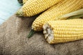 Fresh corn on cobs on rustic wooden table, closeup Royalty Free Stock Photo