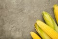 Fresh corn on cobs on rustic wooden table, closeup. Ripe corn Royalty Free Stock Photo