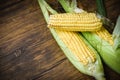 Fresh corn on cobs and sweet corn ears rustic wooden table backgro Royalty Free Stock Photo