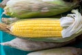 Fresh corn on cobs on table. Organic fresh yellow corn on cobs. Yellow corn on the cob for sale in market. Royalty Free Stock Photo