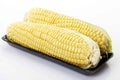 Fresh corn cobs on tray, close-up. Royalty Free Stock Photo