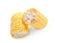 Fresh corn cobs on white background Royalty Free Stock Photo