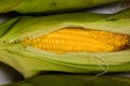 Fresh corn cobs on white background Royalty Free Stock Photo