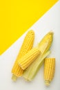 Fresh corn on cobs on white and yellow background Royalty Free Stock Photo