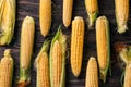 Fresh corn cobs on wooden background, flat lay Royalty Free Stock Photo