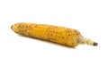 Sweet Corn