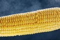 Fresh corn cooked for food, close-up, macro. Steam, water droplets, advertising photo, vertical position Royalty Free Stock Photo