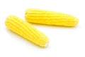 Fresh corn ears with leaves set isolated Royalty Free Stock Photo