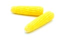 Fresh corn on white background Royalty Free Stock Photo