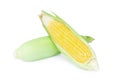 Fresh corn ears on white background Royalty Free Stock Photo