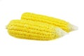 Fresh corn Royalty Free Stock Photo