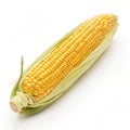 Corn isolated Royalty Free Stock Photo