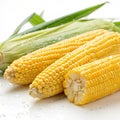 Fresh Corn on White Background Royalty Free Stock Photo