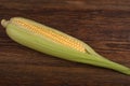 Fresh corn maize on the wooden table closeup, top view