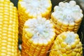 Fresh corn in a pan Royalty Free Stock Photo