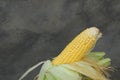 Fresh corn on with rustic wall background, closeup