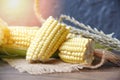 Fresh corn on sack and sweet corn seed on rustic wooden table