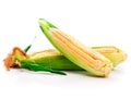 Fresh corn vegetable Royalty Free Stock Photo