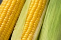 Fresh corn vegetable Royalty Free Stock Photo