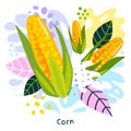 Fresh corn vegetable juice splash organic food juicy vegetables splatter on abstract background vector