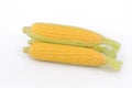 Fresh corn on white background.