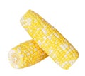 Fresh corns Royalty Free Stock Photo